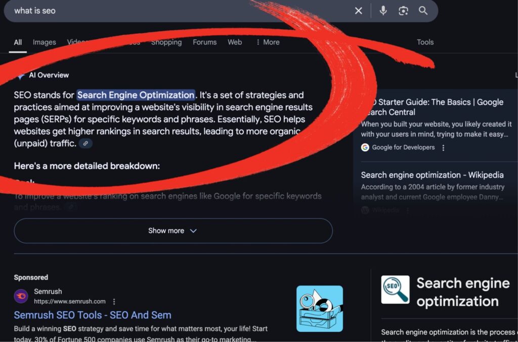 AIO on Google Search